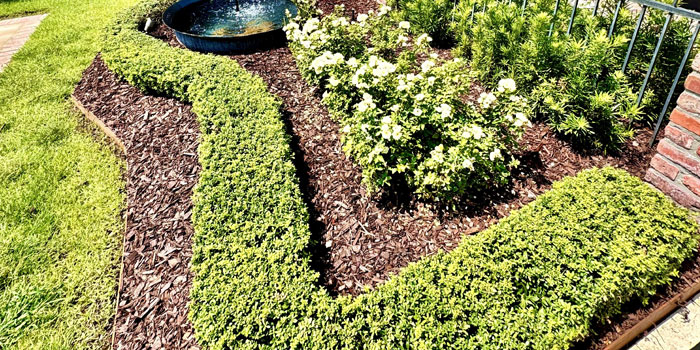 Bed Design Installation