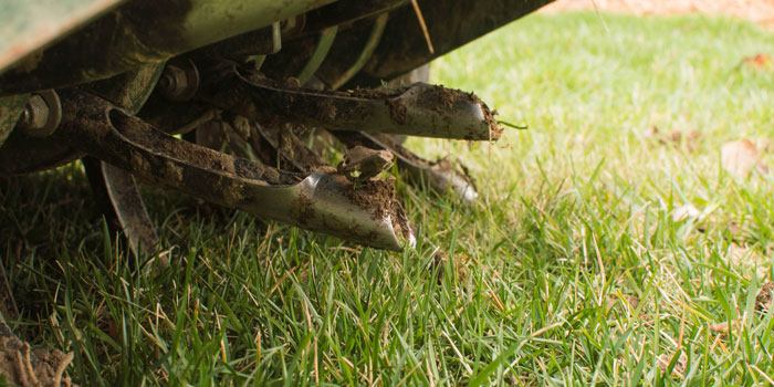 Core Aeration
