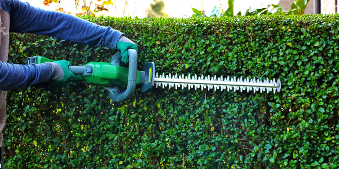 Hedge Trimming