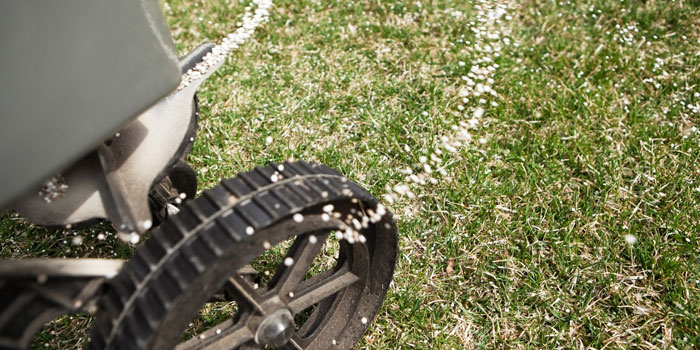 Lawn Fertilization